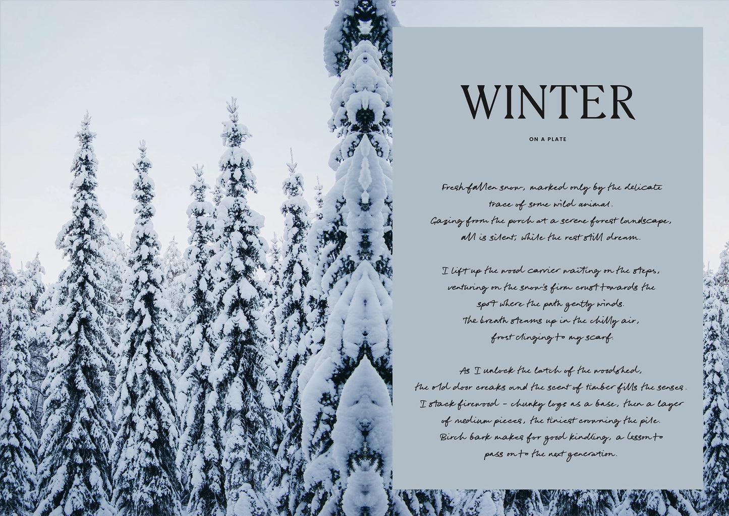Four Seasons of Cabin Cooking Book