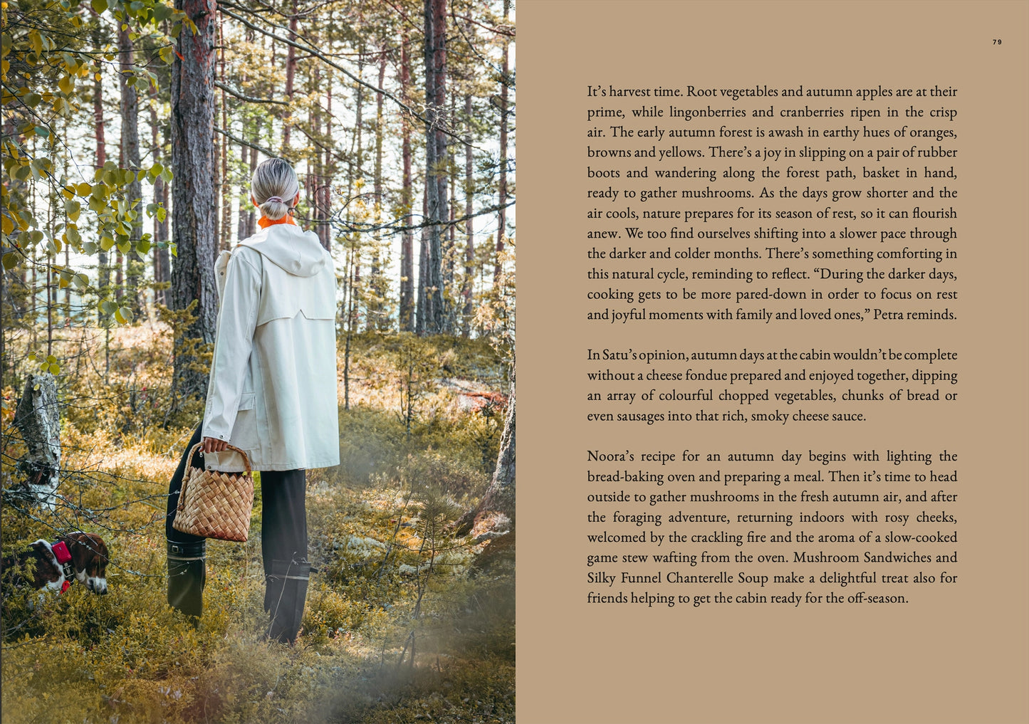 Four Seasons of Cabin Cooking Book