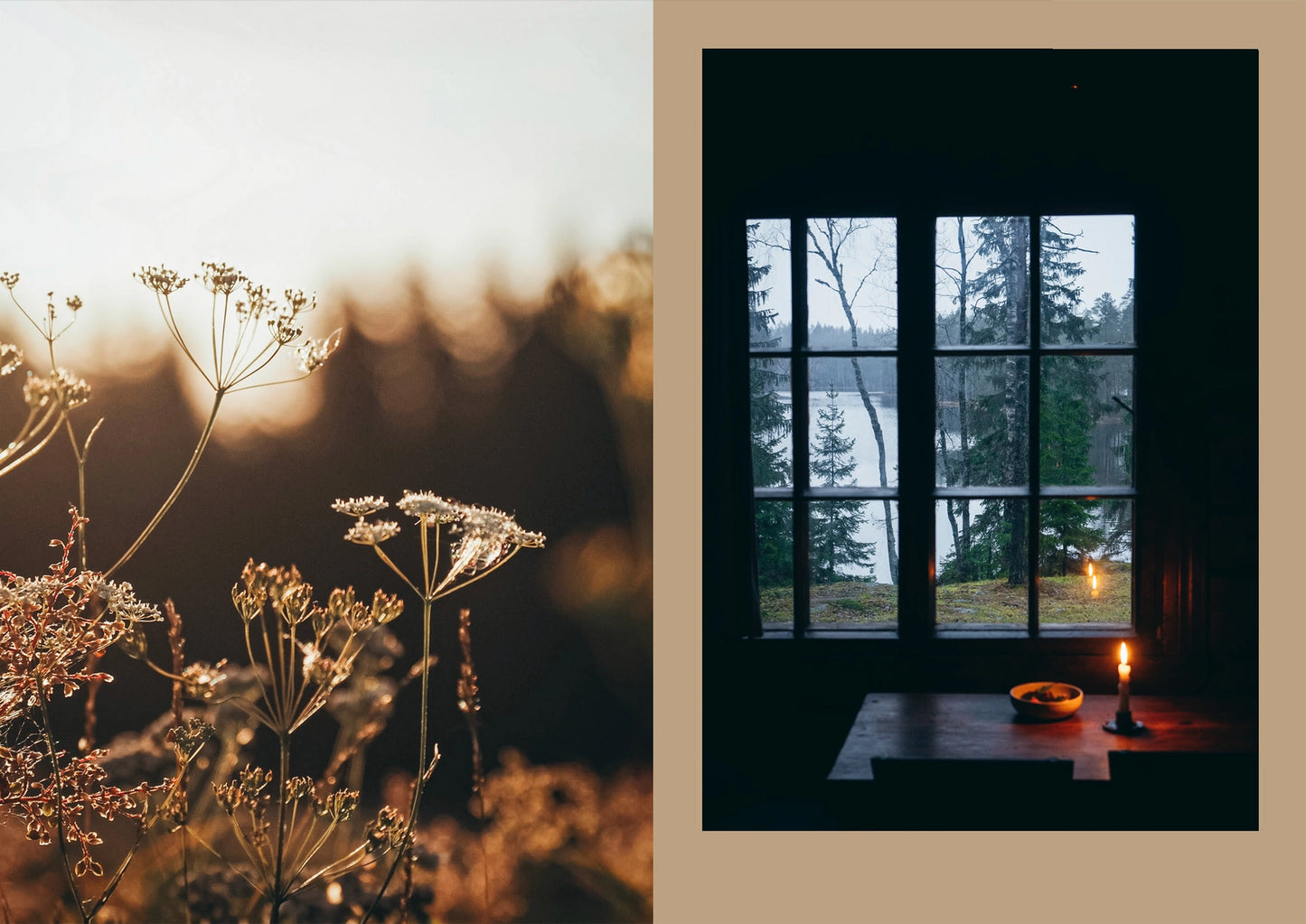 Four Seasons of Cabin Cooking Book