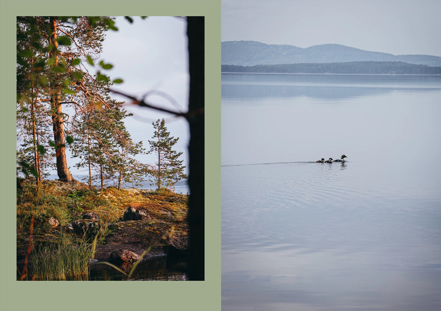 Four Seasons of Cabin Cooking Book