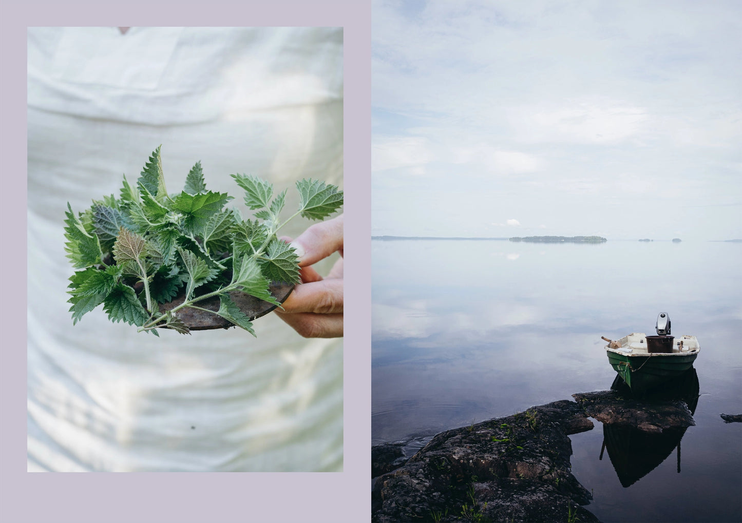 Four Seasons of Cabin Cooking Book