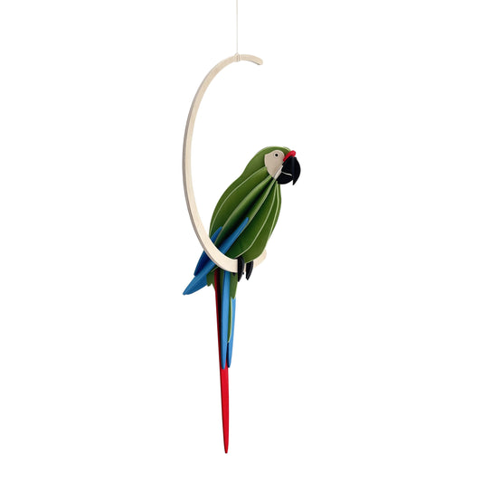 Lovi Parrot, 26 cm, Green Macaw