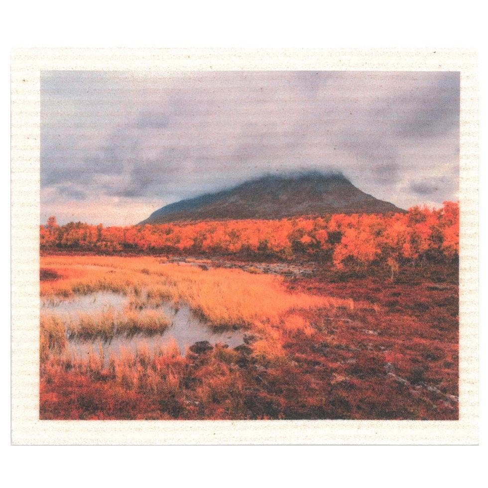 Swedish Dishcloth, More Joy, Saana Lapland