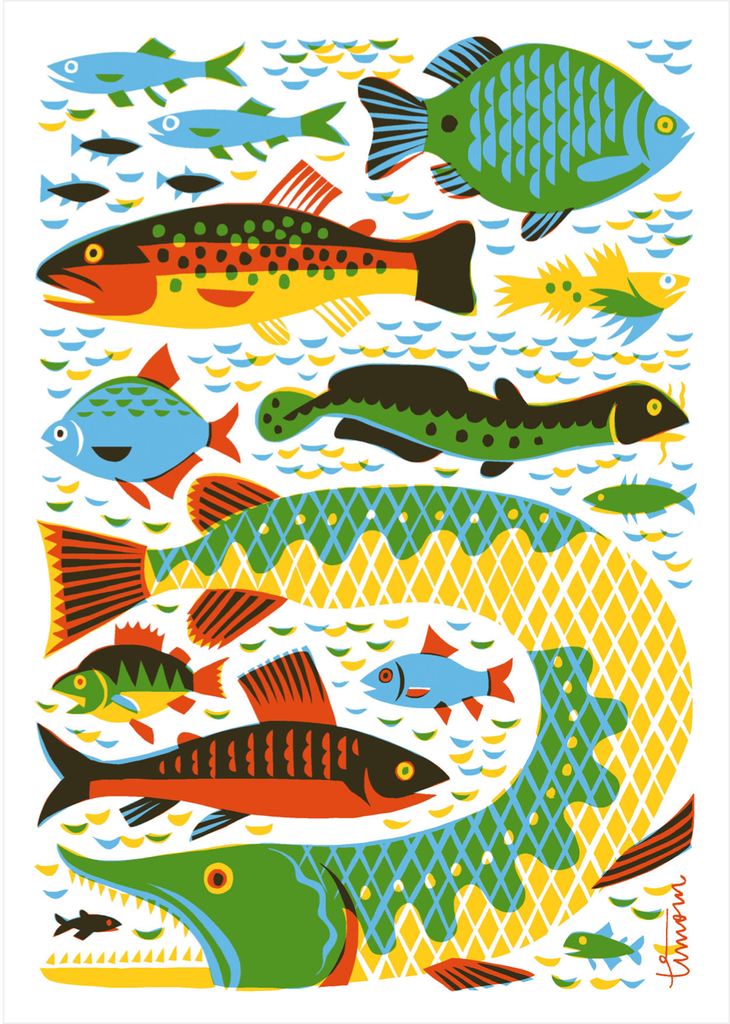 Multiple illustrated multi-colored fish in blues, greens, oranges and yellows on a white background.