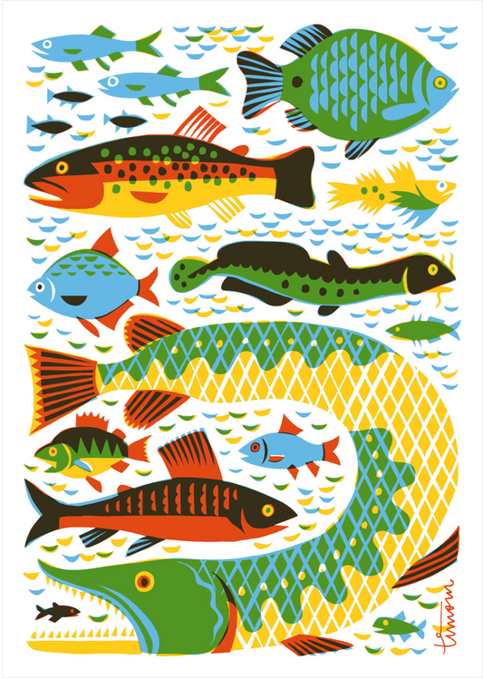 Multiple illustrated multi-colored fish in blues, greens, oranges and yellows on a white background.