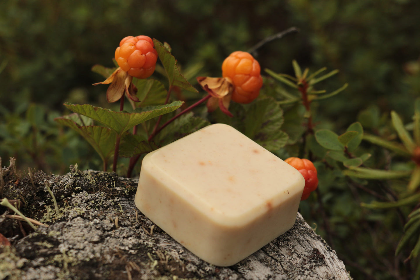 Arctic Cloudberry Bar Soap, Saivo Naturals