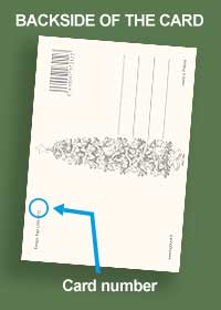 Inge Löök Large Postcard 229