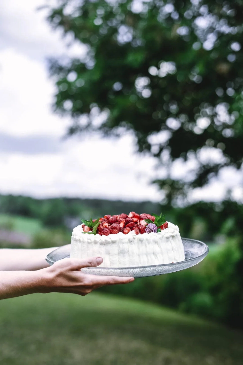 Eat Finland, Culinary Journey Through Finland