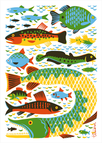Multiple illustrated multi-colored fish in blues, greens, oranges and yellows on a white background. 