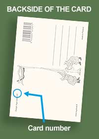The back of the postcard with black and white image of the two aunties, postcard number and space to write.