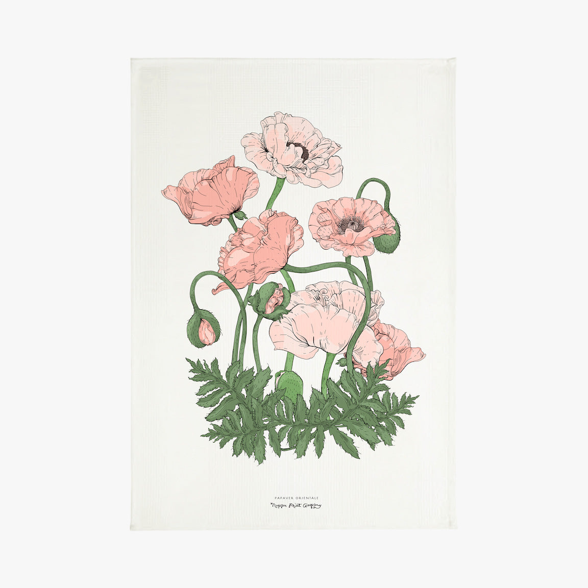 Image of white tea towel with several blush pink and light pink poppies in various stages of bloom with green stems and leaves.