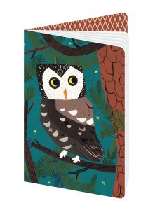 Kehvola Slim Small Notebook, Boreal Owl